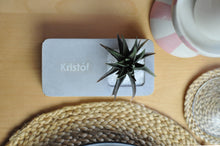 Kép betöltése a galériamegjelenítőbe: Beton asztali kiskert - egyedileg megadható felirattal