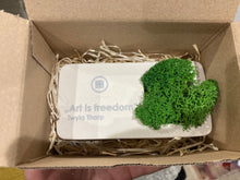 Kép betöltése a galériamegjelenítőbe: ONzen mohakert a Te üzeneteddel