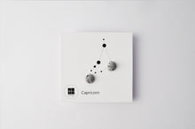 Load image into Gallery viewer, Constellation - concrete earrings