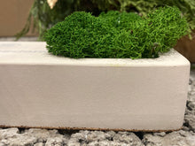 Kép betöltése a galériamegjelenítőbe: ONzen mohakert a Te üzeneteddel
