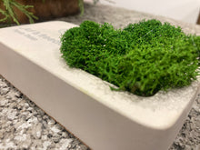 Kép betöltése a galériamegjelenítőbe: ONzen mohakert a Te üzeneteddel
